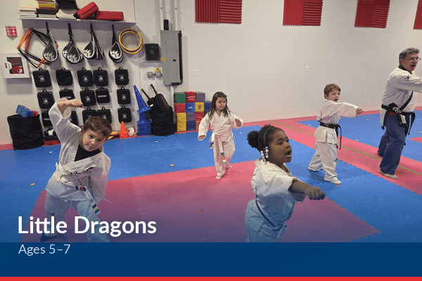 Little Dragons program at Prospect Martial Arts