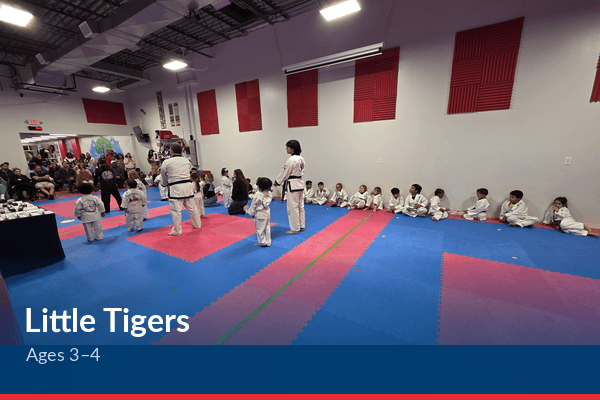 Little Tigers program at Prospect Martial Arts